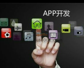 山東德州APP開(kāi)發(fā)與信息技術(shù)咨詢服務(wù)指南